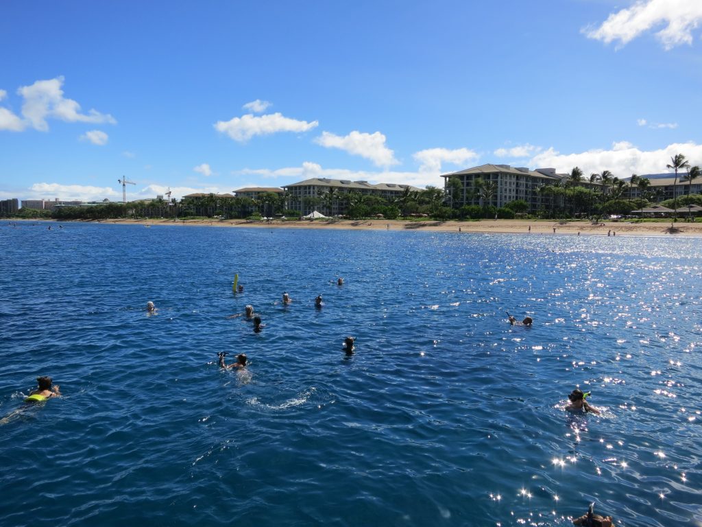 "Boatload of Decision Makers" Reveals Plight of West Maui Reefs. Photo credit: DLNR.