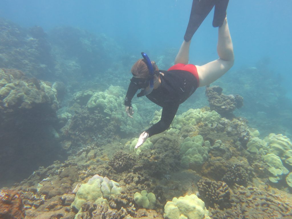 "Boatload of Decision Makers" Reveals Plight of West Maui Reefs. Photo credit: DLNR.