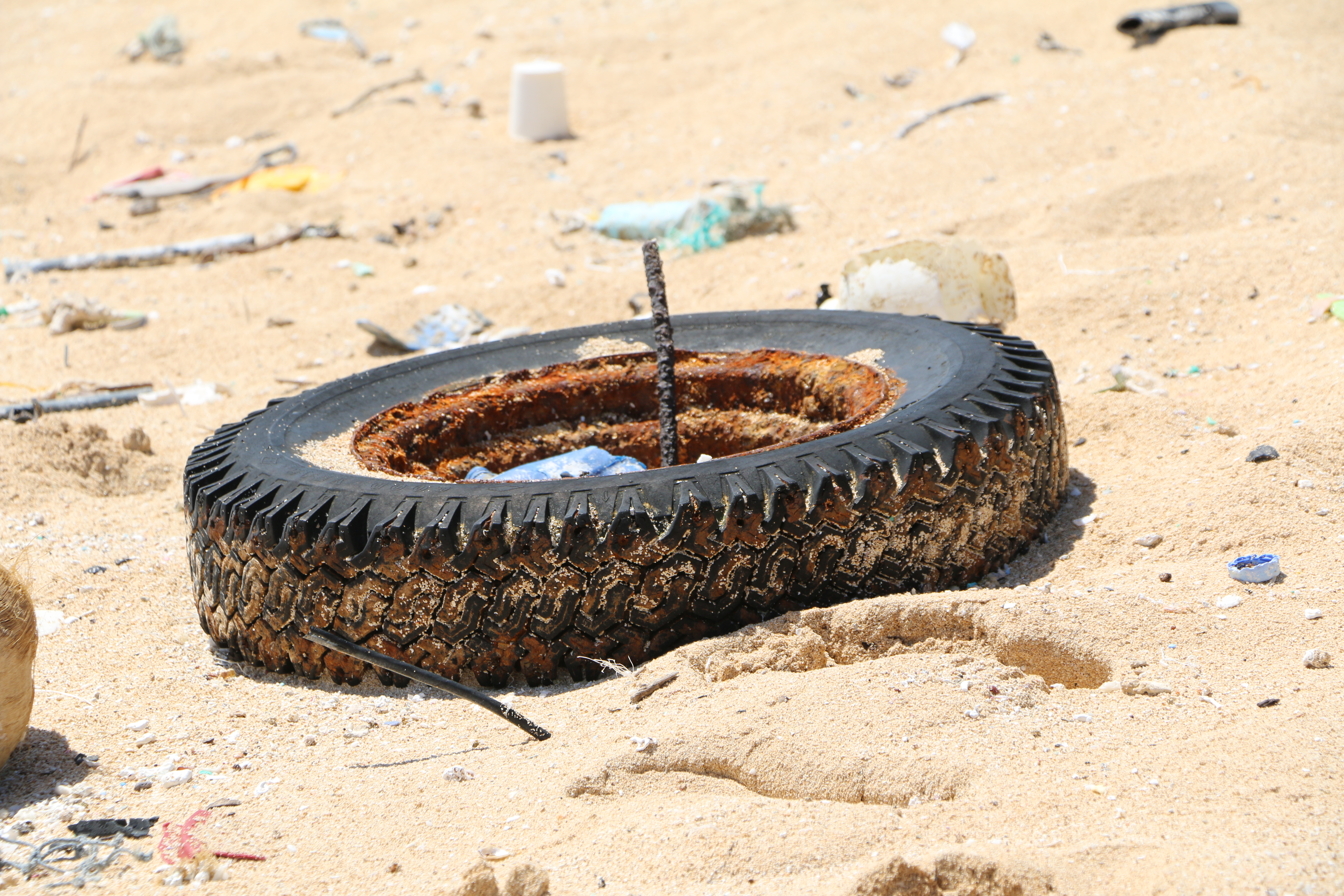 The study found that 38% of the total debris identified in aerial surveys is on Niihau, and is likely due to its position in the island chain, and the particular ocean currents surrounding it. All other islands had 14% or less, with Oʻahu having the least density at only 5%. Image: Kahuku, Oʻahu courtesy DLNR.