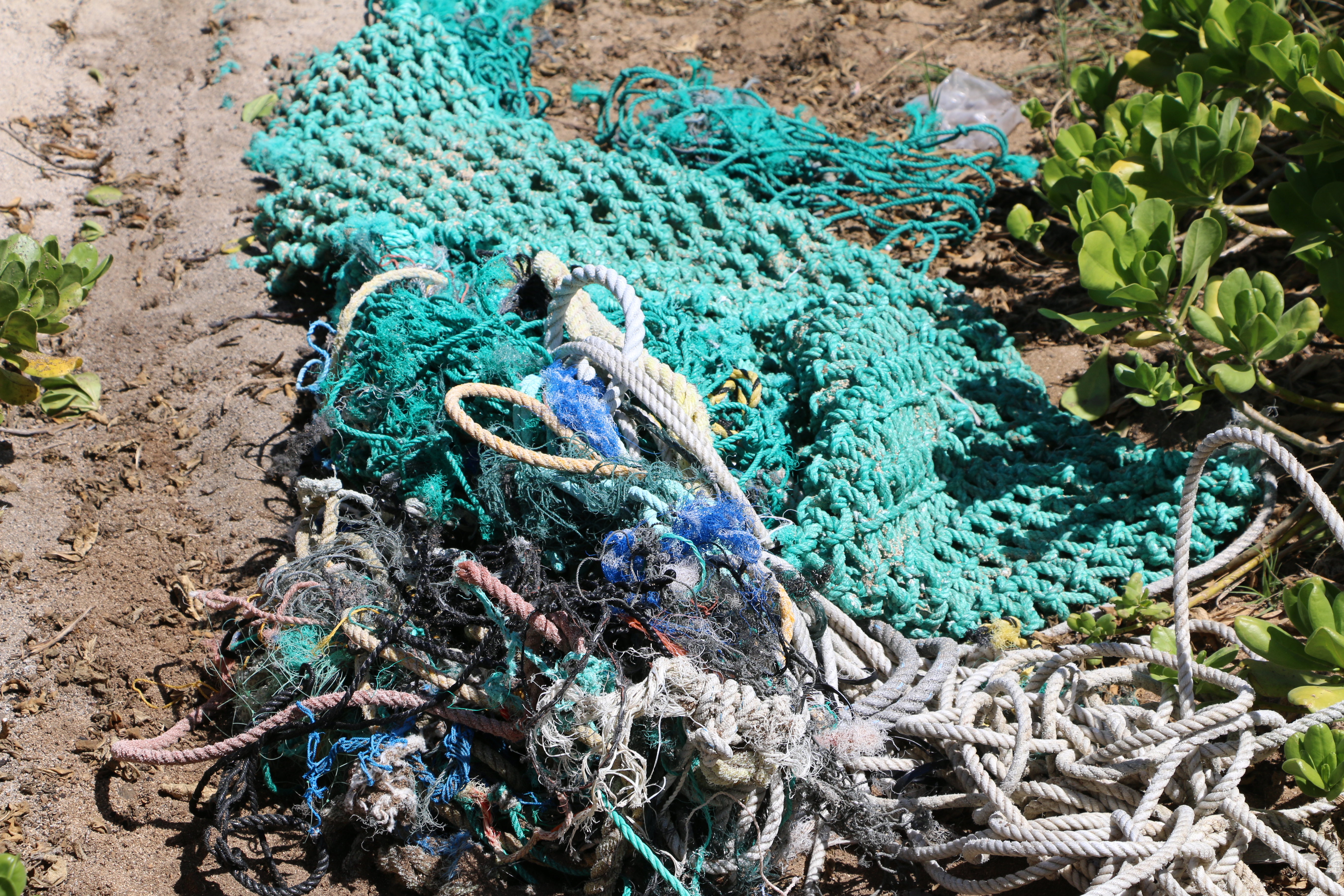 The study found that 38% of the total debris identified in aerial surveys is on Niihau, and is likely due to its position in the island chain, and the particular ocean currents surrounding it. All other islands had 14% or less, with Oʻahu having the least density at only 5%. Image: Kahuku, Oʻahu courtesy DLNR.