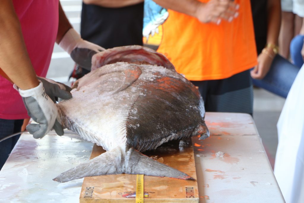 Image credit: Hawaii Dept. of Land and Natural Resources
