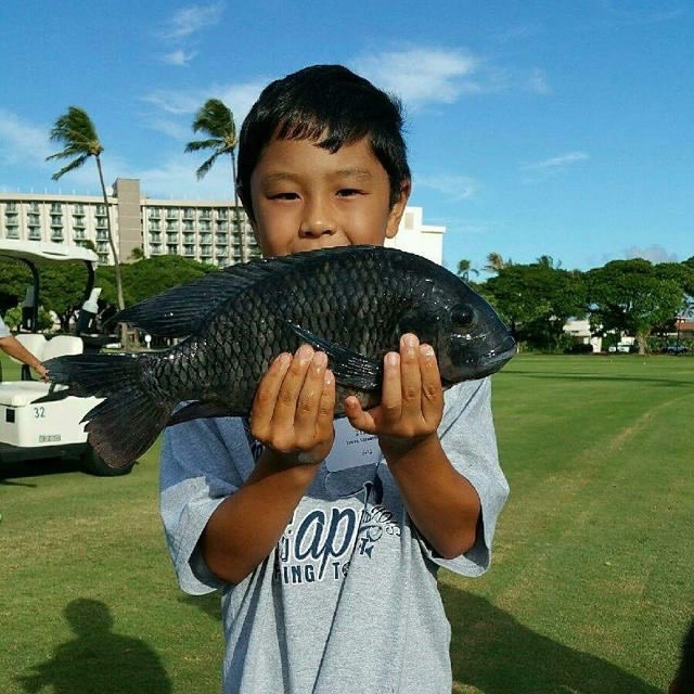 Maui Electric Tilapia Whoppa Winner 2015 Isaac Imamura. Photo credit: Maui Electric.