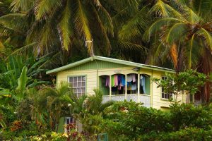 Maui Now stock photo. June 2016.