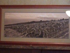 Old photo of the ranch in 'Ulupalakua. Photo by Kiaora Bohlool.