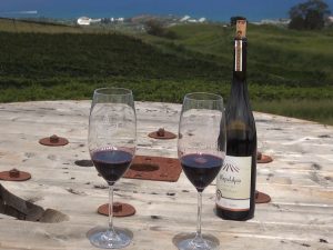 MauiWine views. Photo by Kiaora Bohlool.