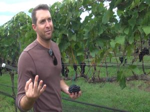 MauiWine sales & marketing director Joe Hegele. Photo by Kiaora Bohlool.