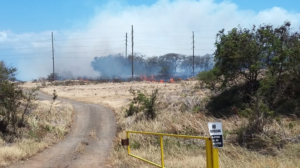 Māʻalaea fire 7.2.16. Photo credit: Kevin John Olson.