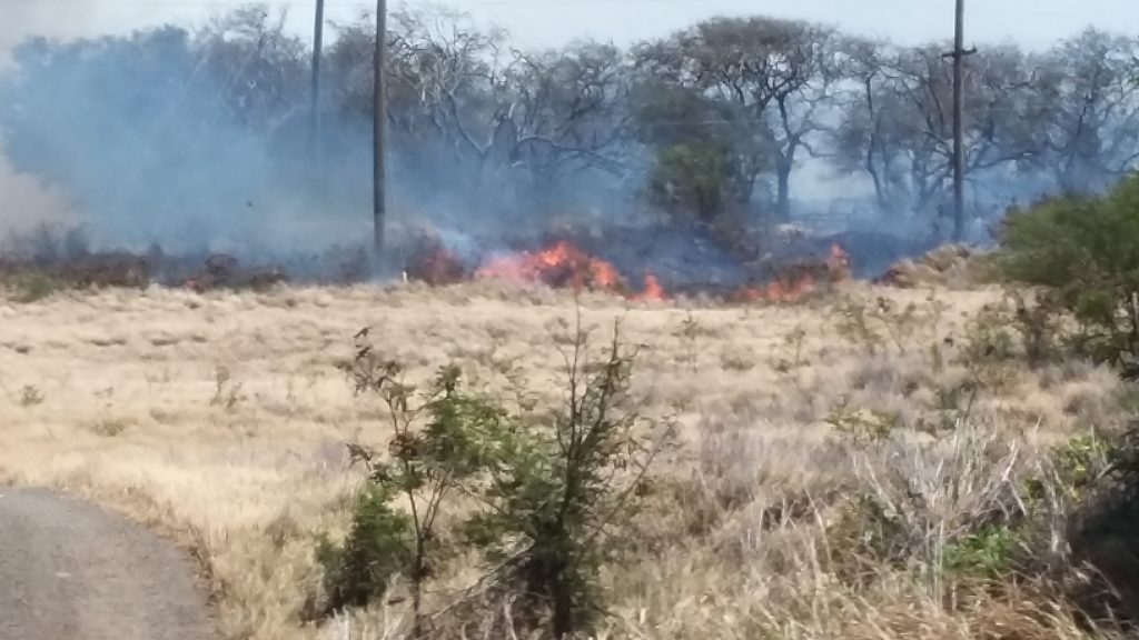 Māʻalaea fire 7.2.16. Photo credit: Kevin John Olson.