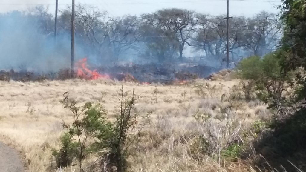 Māʻalaea fire 7.2.16. Photo credit: Kevin John Olson.