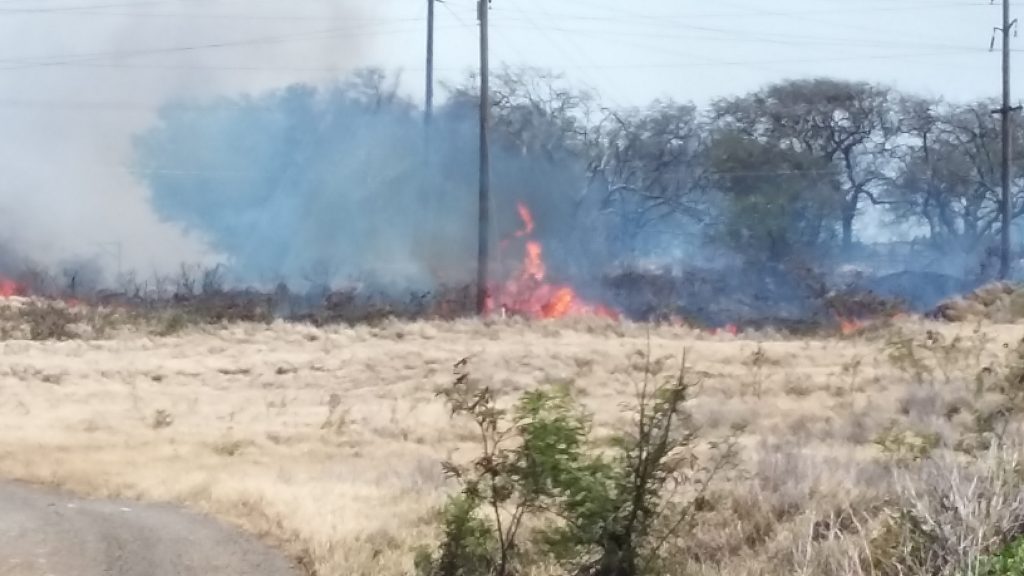 Māʻalaea fire 7.2.16. Photo credit: Kevin John Olson.