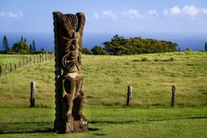 Mea Makamae Ranch in Ha‘ikū. Concierge Auctions photo.