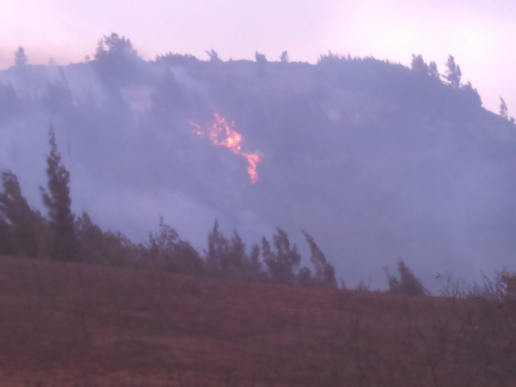 Māʻalaea fire 7.2.16. Photo credit: Mike Kahula
