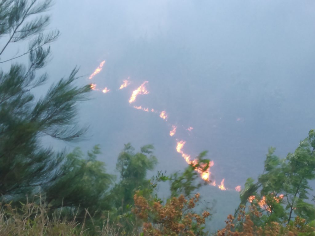 Māʻalaea fire 7.2.16. Photo credit: Mike Kahula