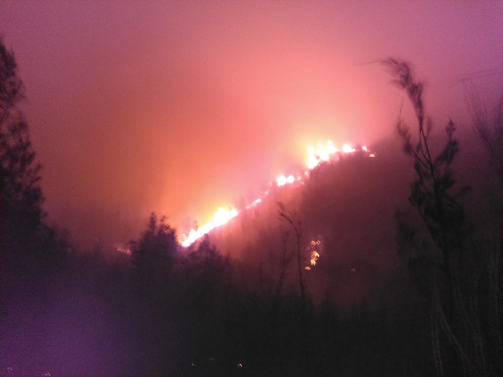 Māʻalaea fire 7.2.16. Photo credit: Mike Kahula