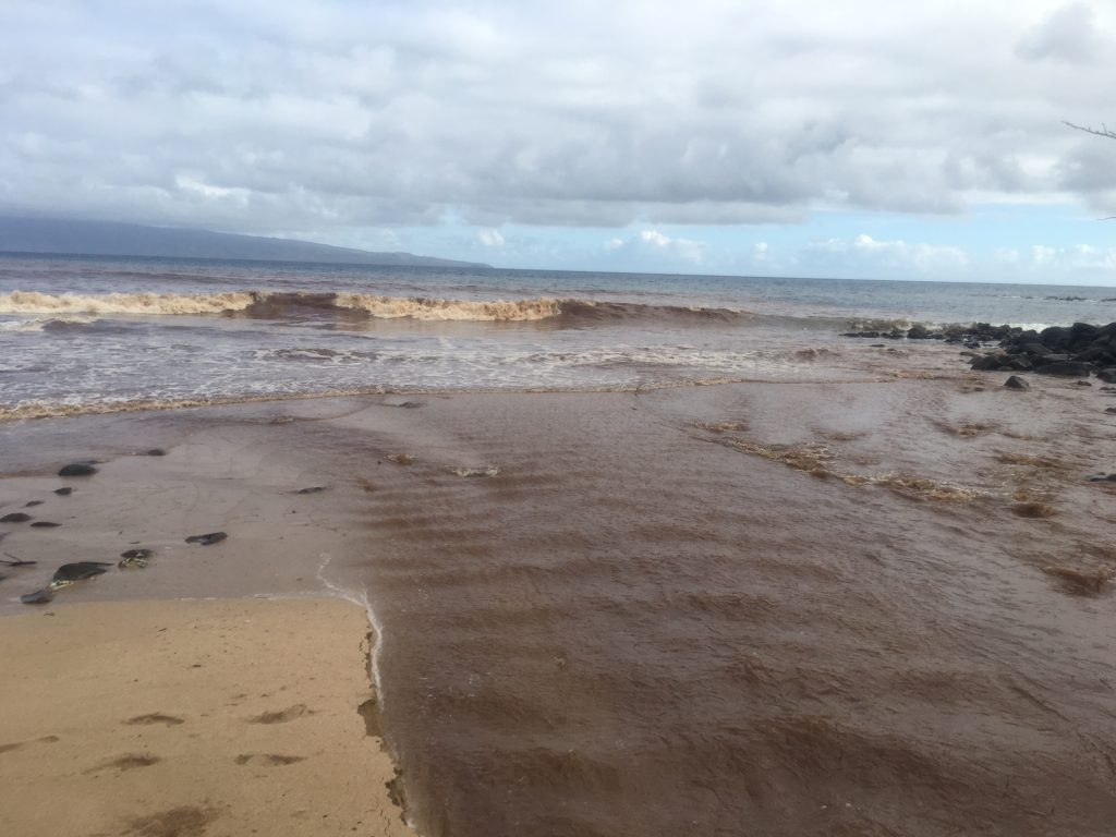 Brown Water Advisory. Honokahua Bay 7.15.16. Courtesy: DOH.