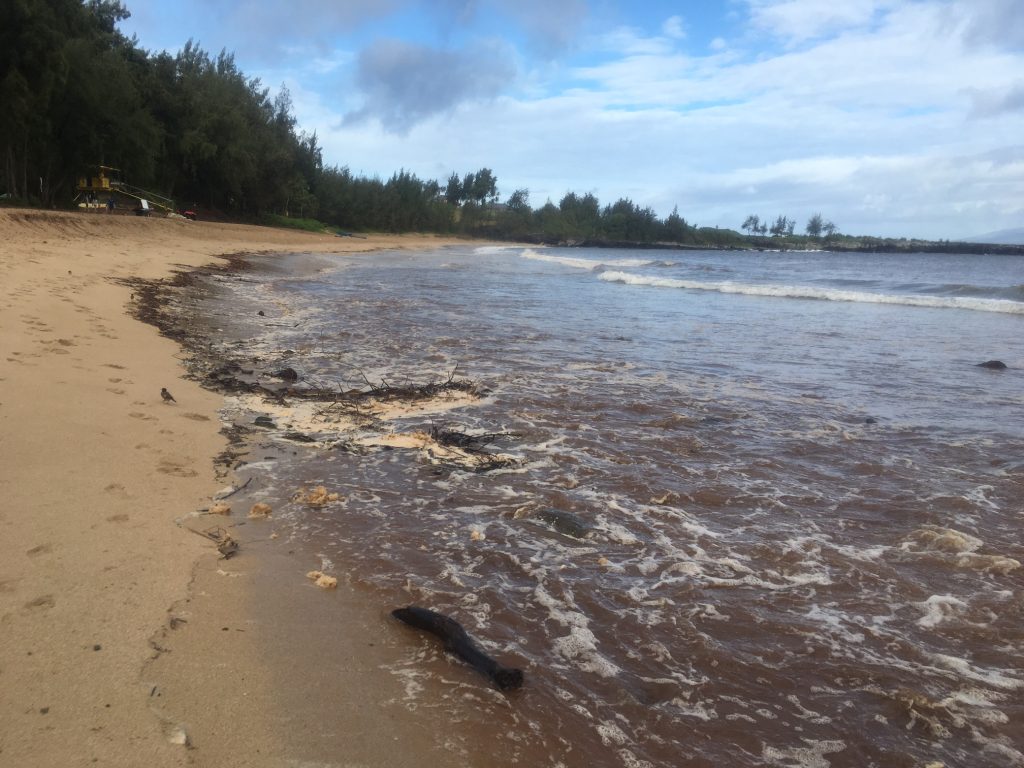 Brown Water Advisory. Honokahua Bay 7.15.16. Courtesy: DOH.