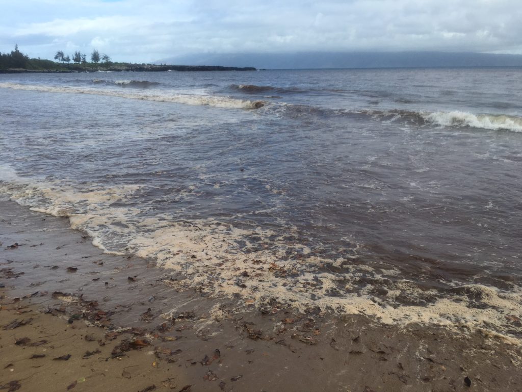 Brown Water Advisory. Honokahua Bay 7.15.16. Courtesy: DOH.