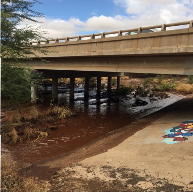 Brown Water Advisory. Kōʻieʻie 7.15.16. Courtesy: DOH.