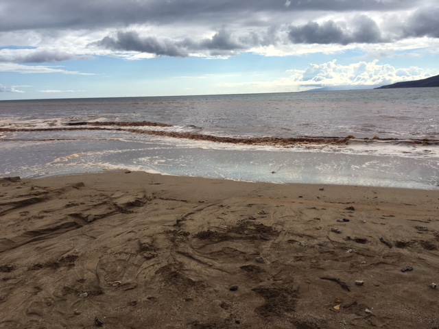Brown Water Advisory. Kōʻieʻie 7.15.16. Courtesy: DOH.