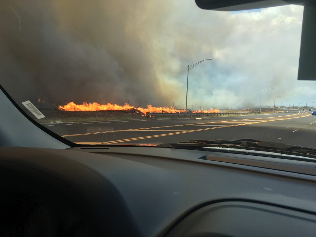 Māʻalaea fire 7.2.16. Photo credit: Nicole Rosa.