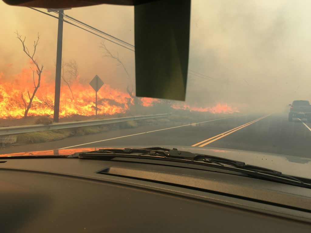 Māʻalaea fire 7.2.16. Photo credit: Nicole Rosa.