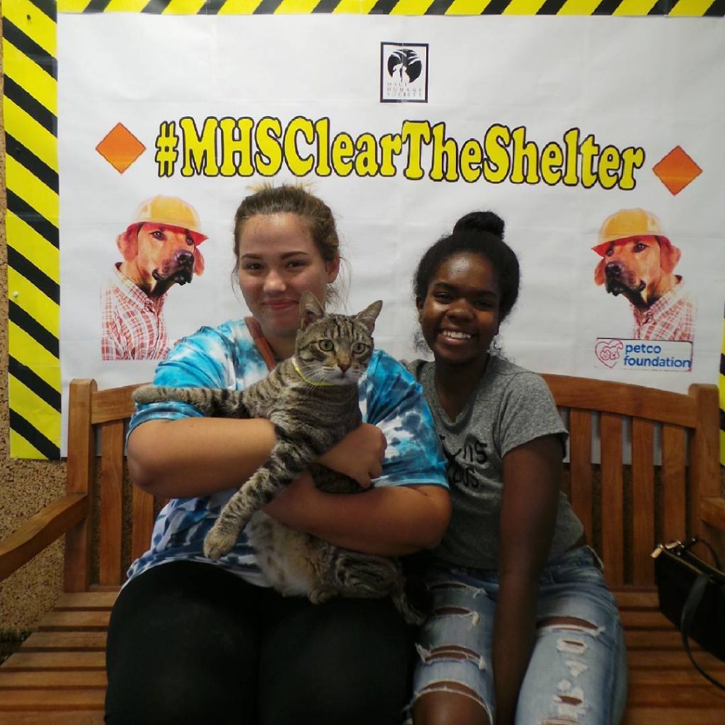 "Clear the Shelter." Photo courtesy: Maui Humane Society.