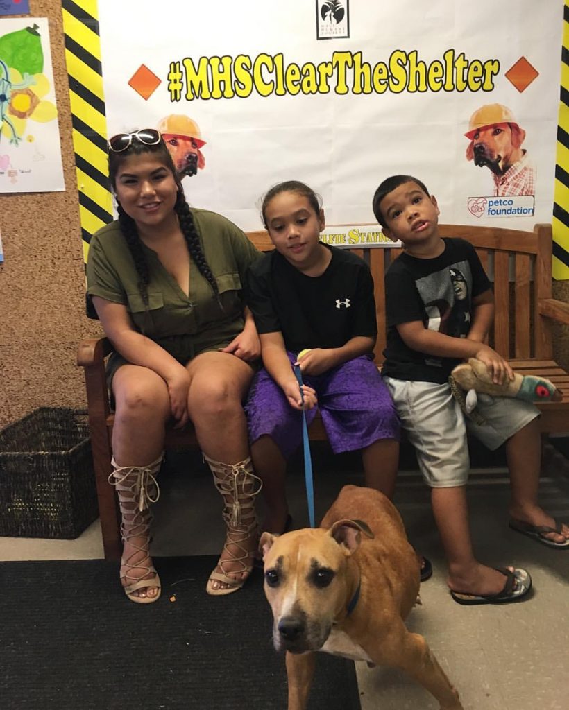 "Clear the Shelter." Photo courtesy: Maui Humane Society.