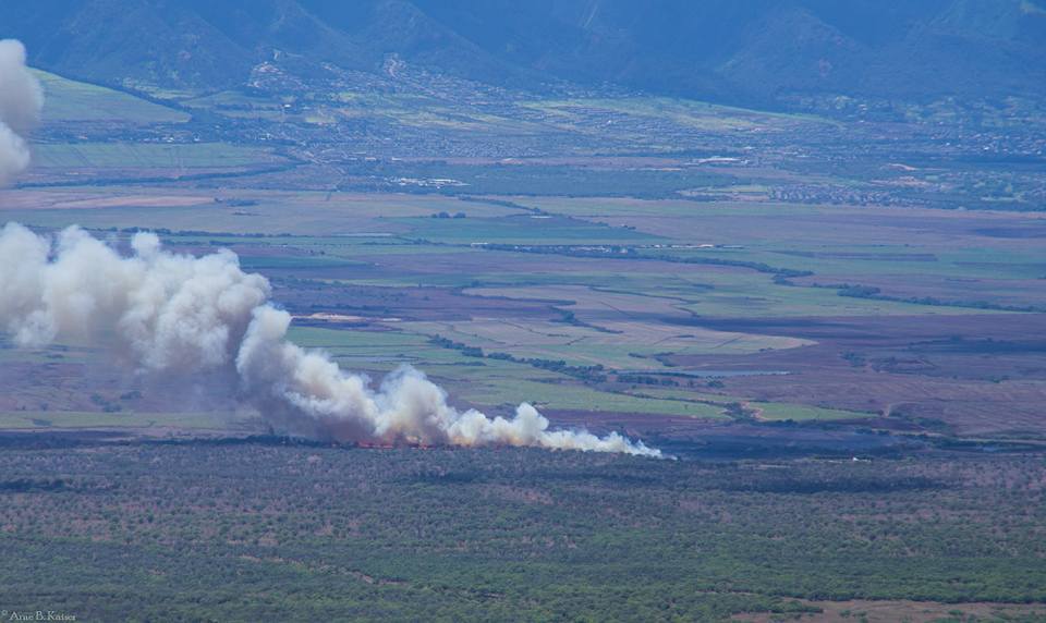 Brush fire, 8.20.16. PC: Arne B. Kaiser