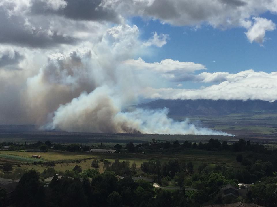 Brush fire, 8.20.16. PC: