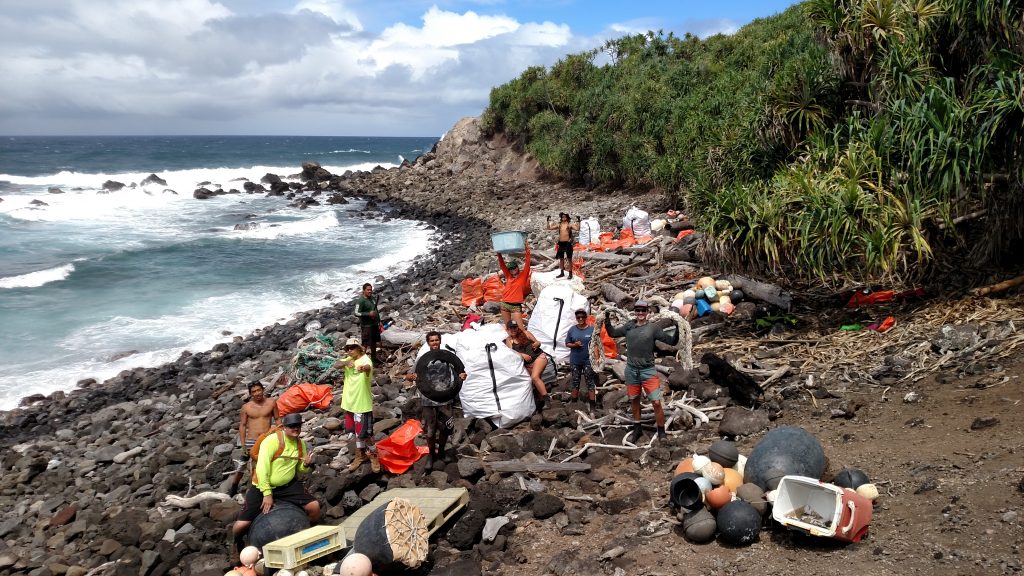 DLNR TNC NPS and Sustainable Coastlines Volunteers