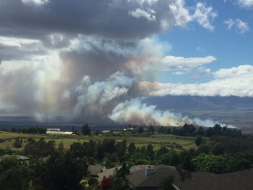 Brush fire, 8.20.16. PC: