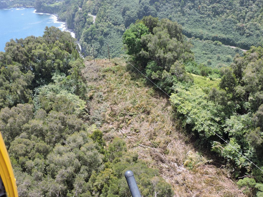 Maui Electric_Keanae Vegetation Management_July 12 2016: As part of this project, crews have been working to clear areas in East Maui where overgrown and dense vegetation were encroaching on electrical lines.