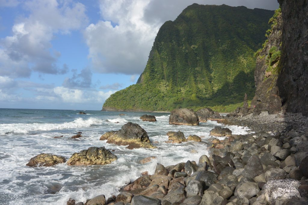 Olokuʻi Natural Area Reserve (foreground) Wailau Forest Reserve (background)