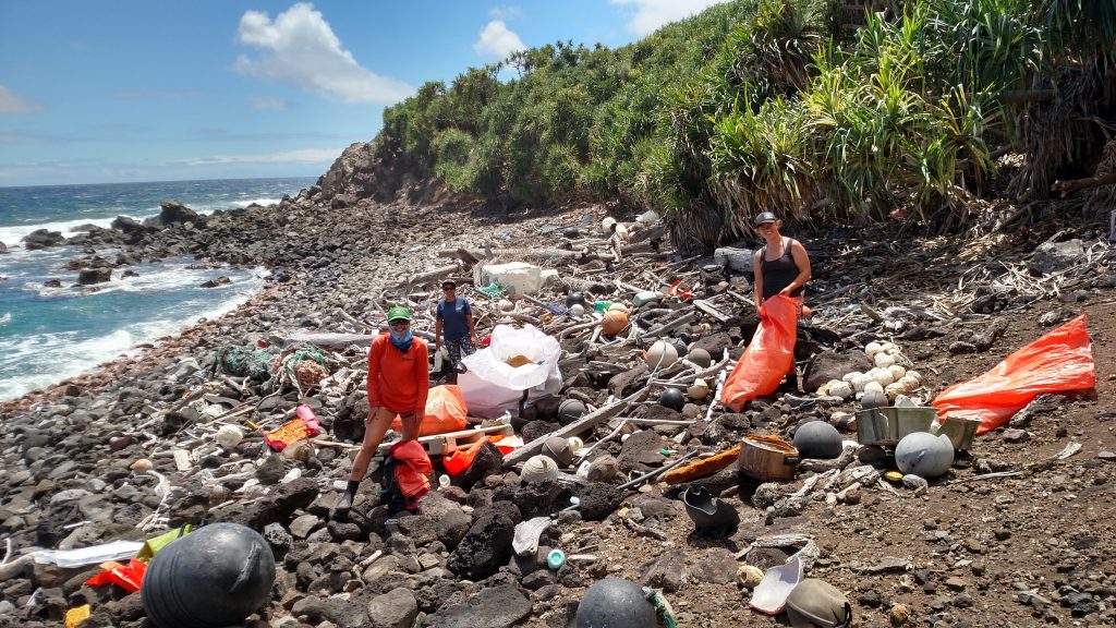 Sustainable Coastline Volunteers DLNR