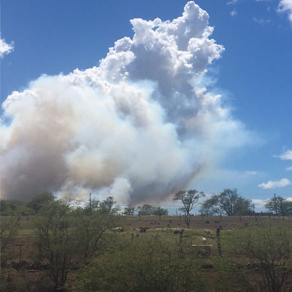 Brush fire, 8.20.16. PC:
