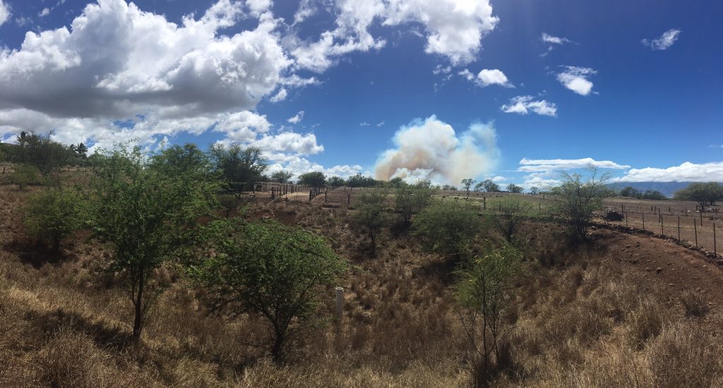 Brush fire, 8.20.16. PC:
