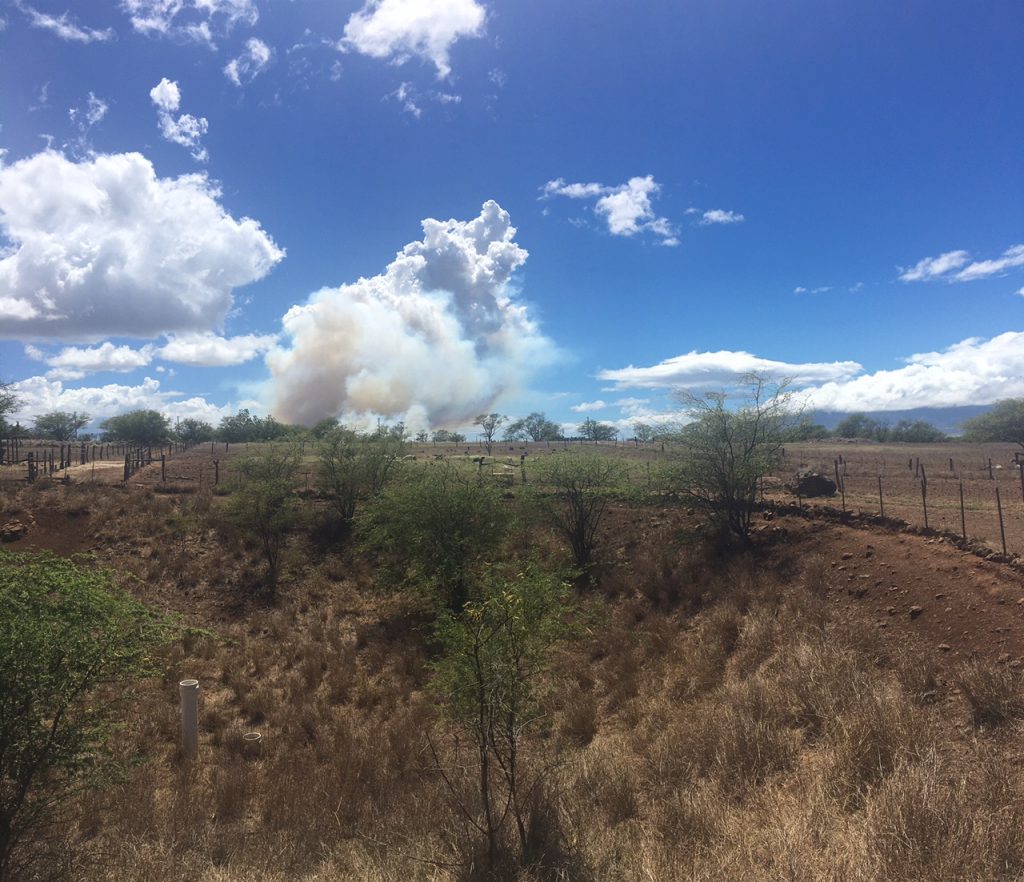 Brush fire, 8.20.16. PC: