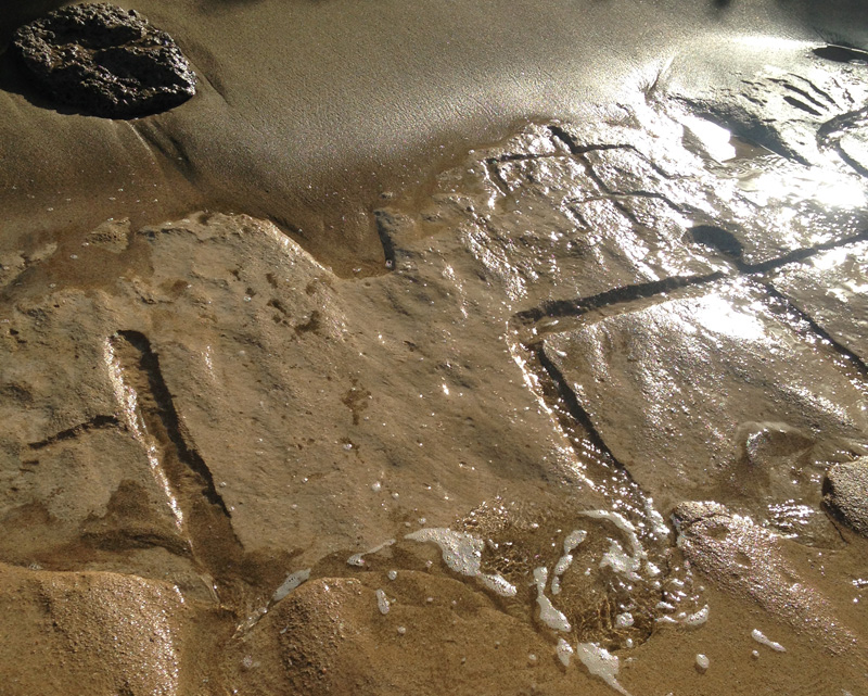 Waiʻanae petroglyphs. Photo credit: Hawaiʻi Department of Land and Natural Resources.