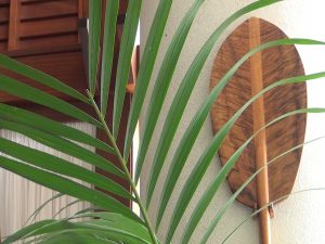 Decor at Cane & Canoe in Kapalua. Photo by Kiaora Bohlool.