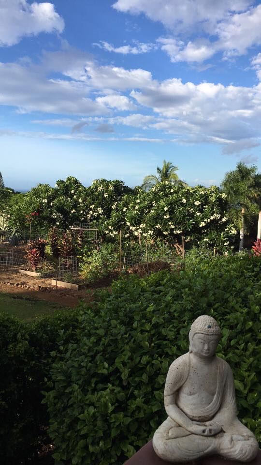 Pre-Lester, vantage toward Wailea, Thursday morning 9.1.16, PC: Laura Stewart Kaplan
