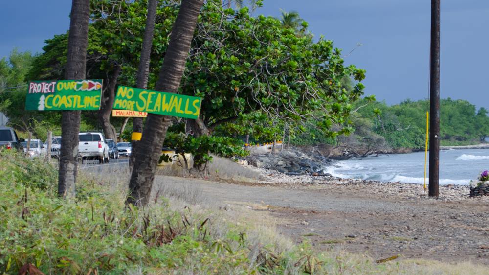 Shoreline at Olowalu. PC: Asa Ellison