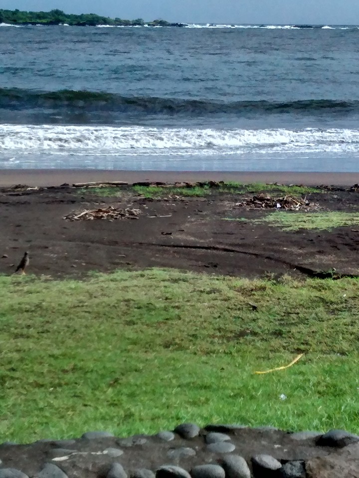 Hāna Bay before. Photo credit: Lehua Cosma