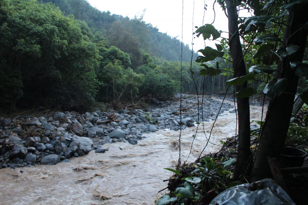 ʻĪao Valley, erosion and flood debris from flash flood. PC: 9.14.16 by Wendy Osher.