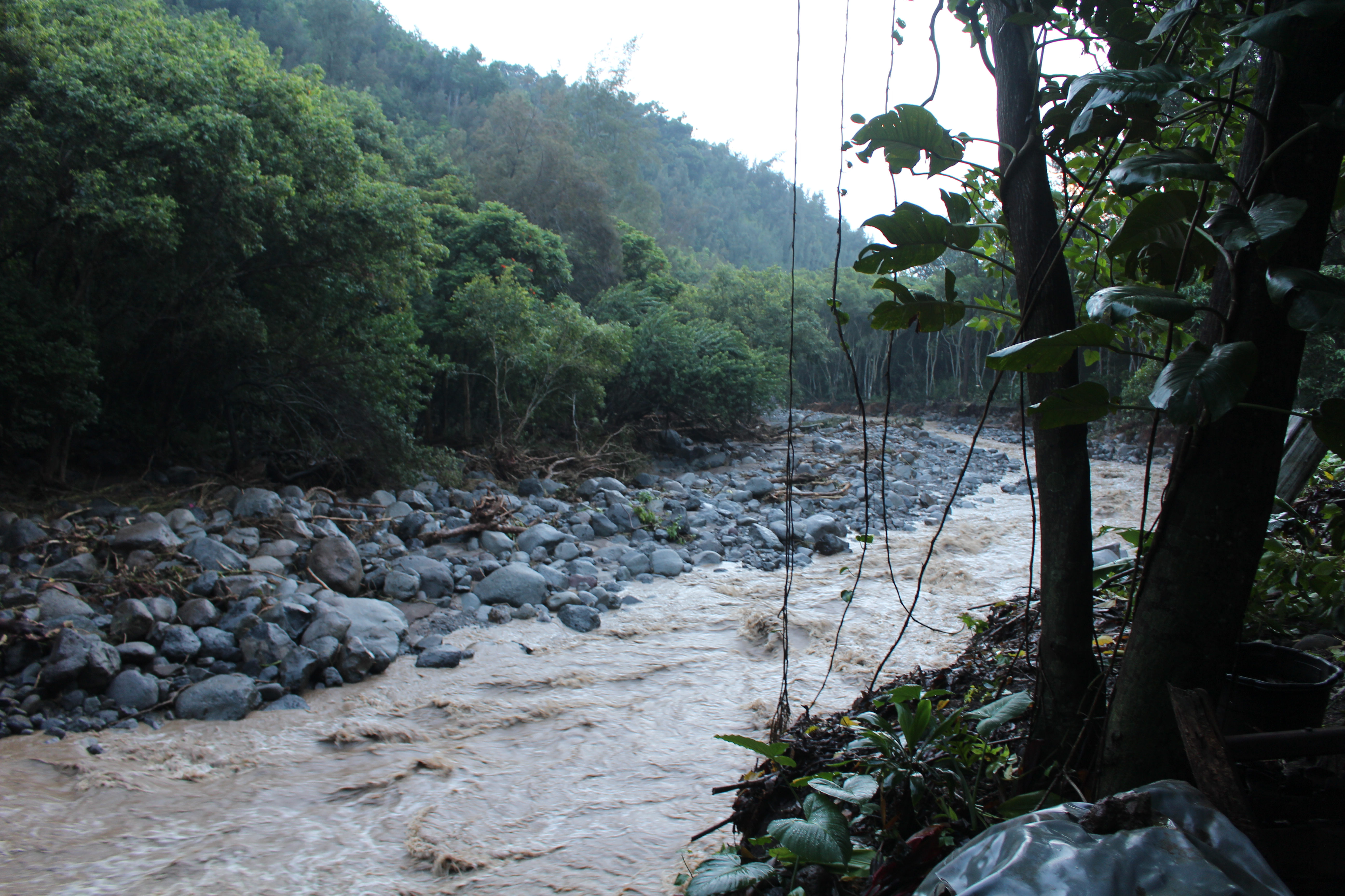 ʻĪao Valley, erosion and flood debris from flash flood. PC: 9.14.16 by Wendy Osher.
