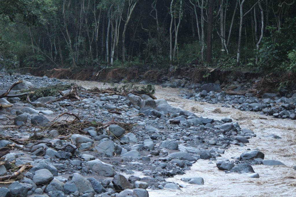 ʻĪao Valley, erosion and flood debris from flash flood. PC: 9.14.16 by Wendy Osher.