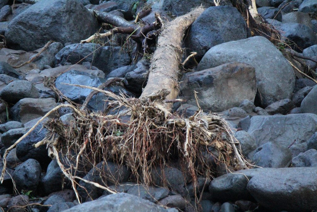 ʻĪao Valley, erosion and flood debris from flash flood. PC: 9.14.16 by Wendy Osher.