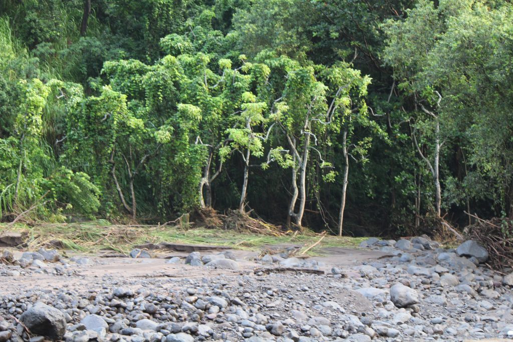 ʻĪao Valley, erosion and flood debris from flash flood. PC: 9.14.16 by Wendy Osher.