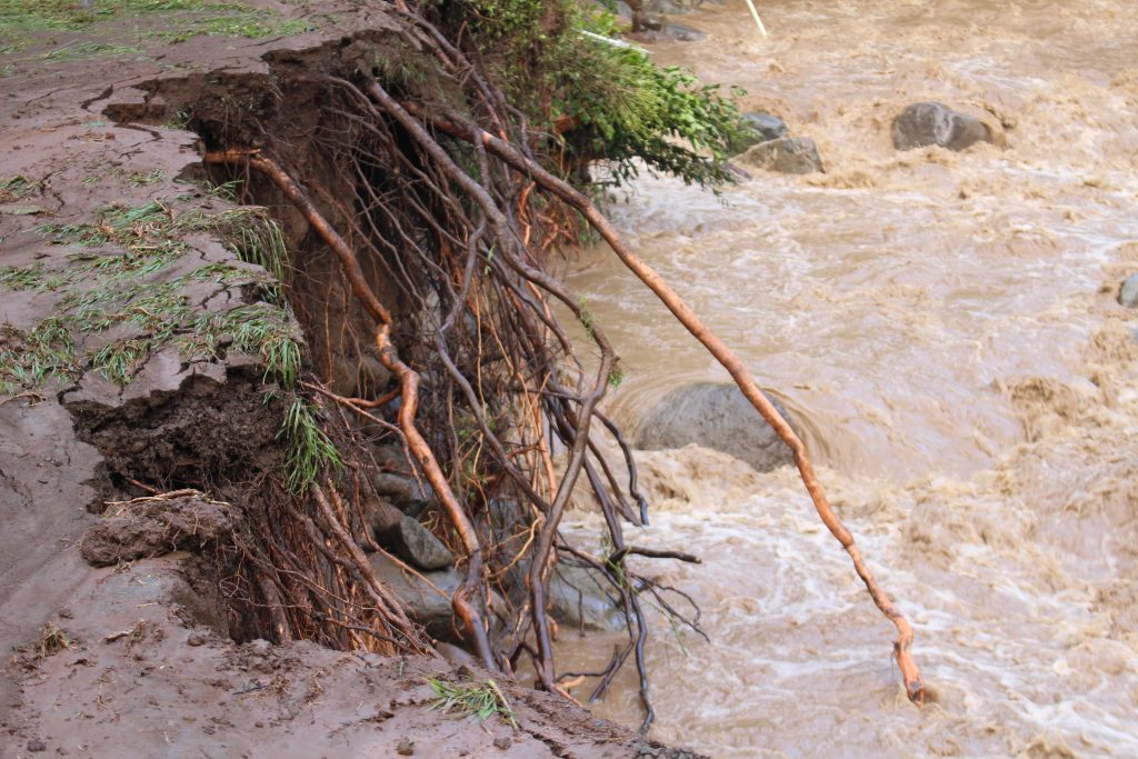 ʻĪao Valley, erosion and flood debris from flash flood. PC: 9.14.16 by Wendy Osher.