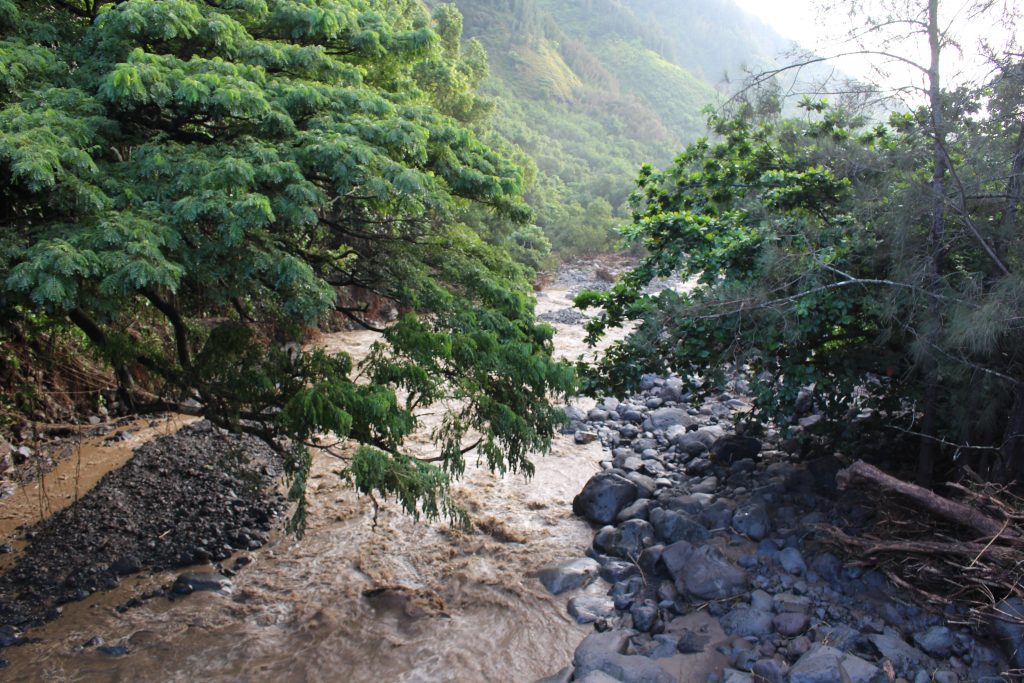 ʻĪao Valley, erosion and flood debris from flash flood. PC: 9.14.16 by Wendy Osher.