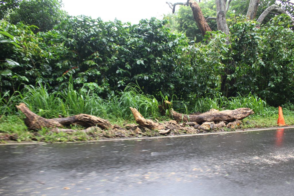 ʻĪao Valley, erosion and flood debris from flash flood. PC: 9.14.16 by Wendy Osher.